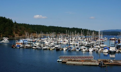 Friday Harbor