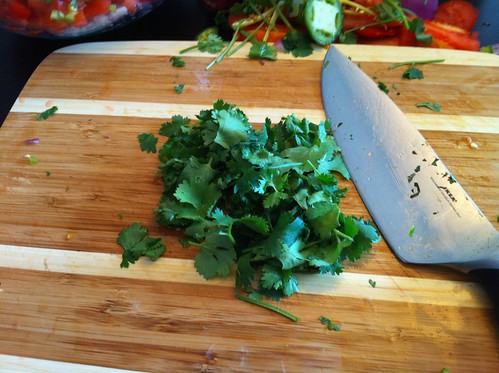 Cilantro