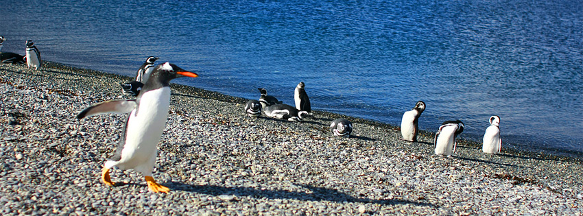 Free facebook header image from Argentina