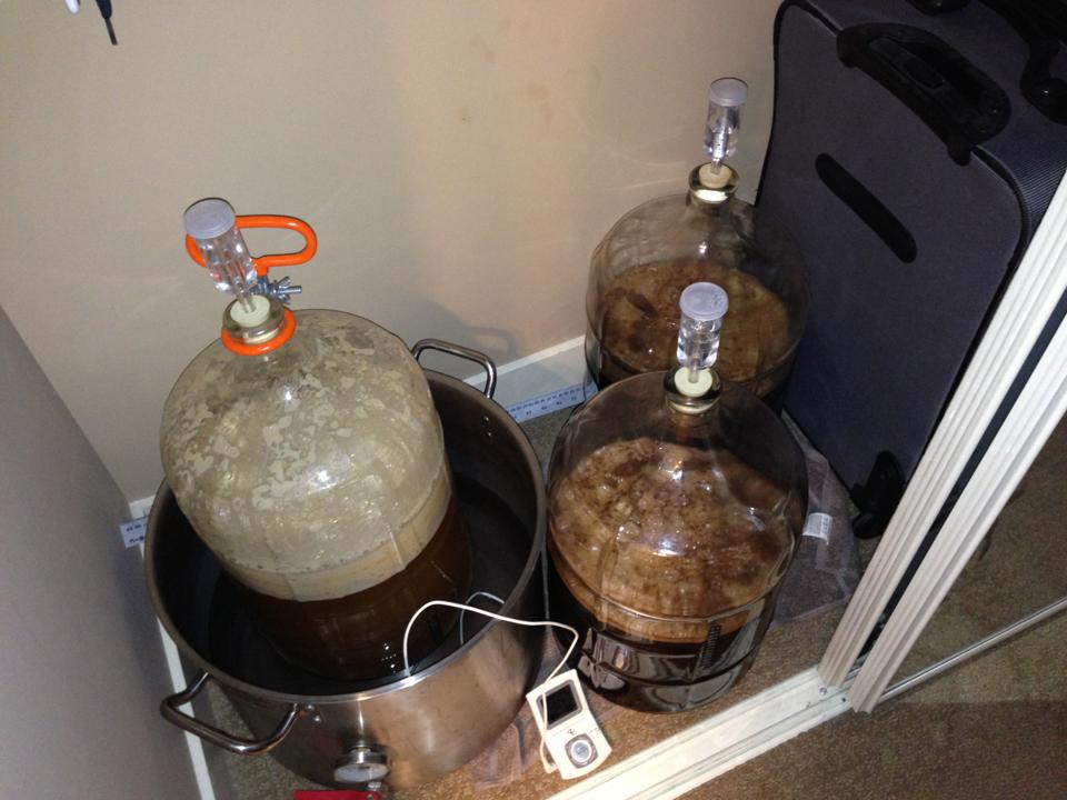 Fermentation