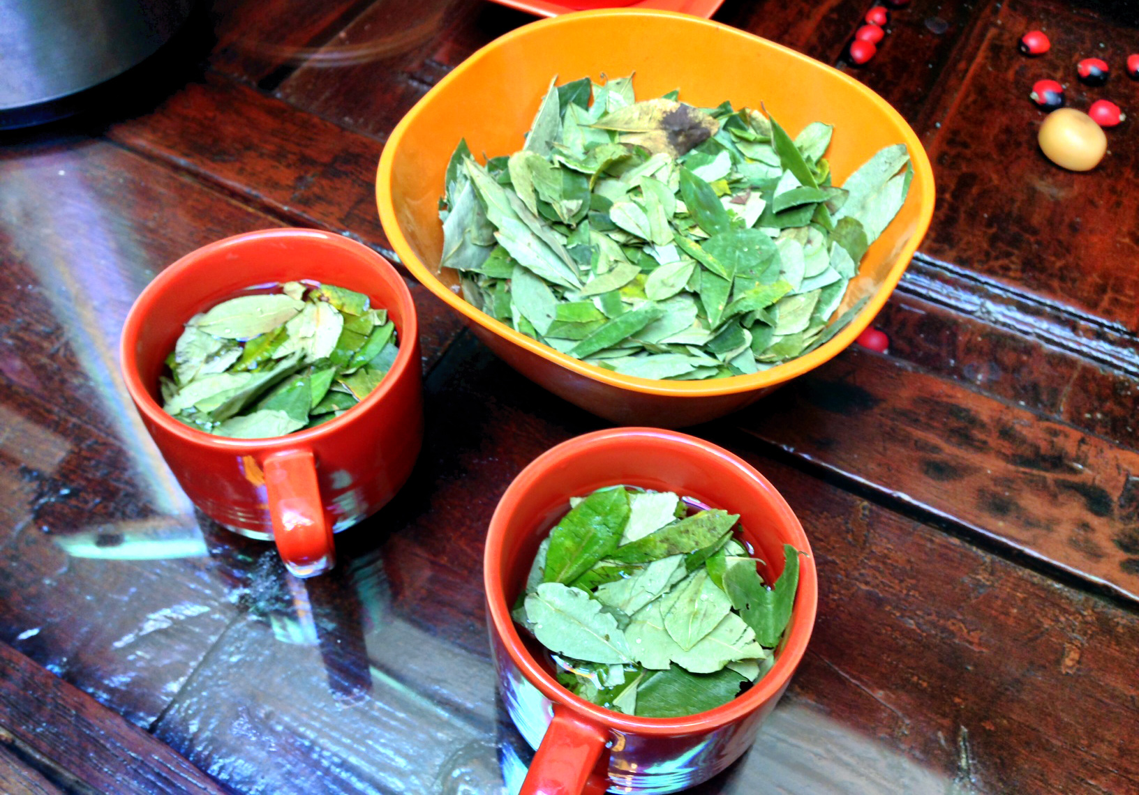 Coca Leaves - A Local Remedy for Altitude Sickness