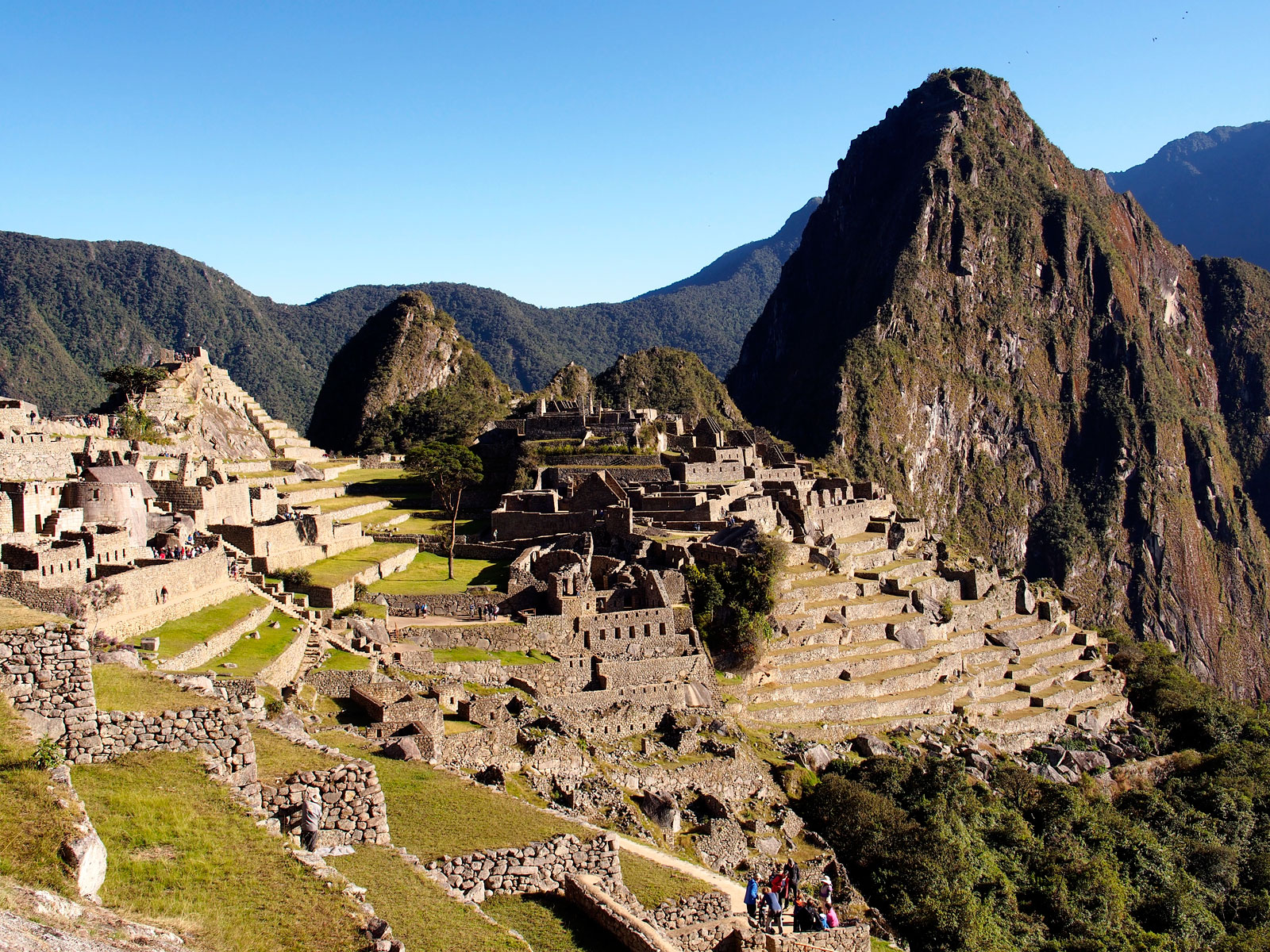 Machu Picchu