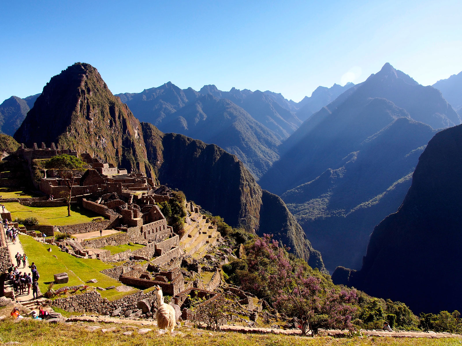 Machu Picchu and the Surrounding Landscape