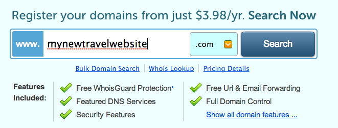 Searching for a domain name with NameCheap