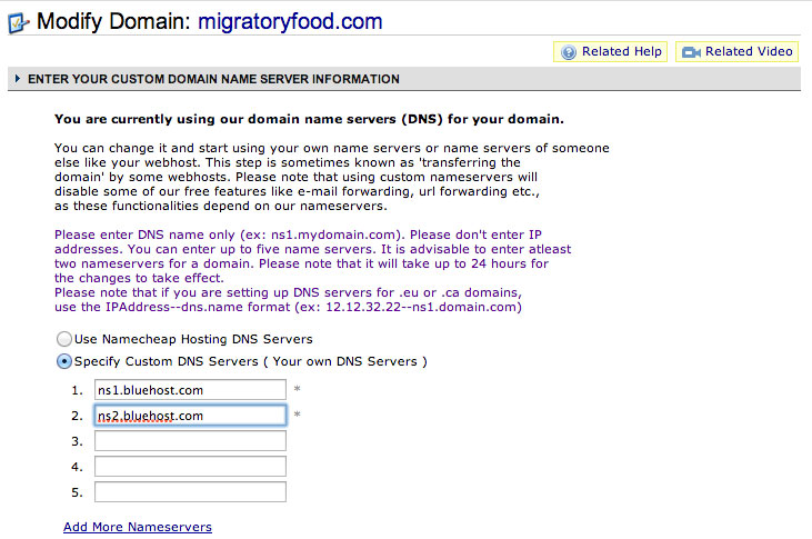 Pointing the domain to Bluehost